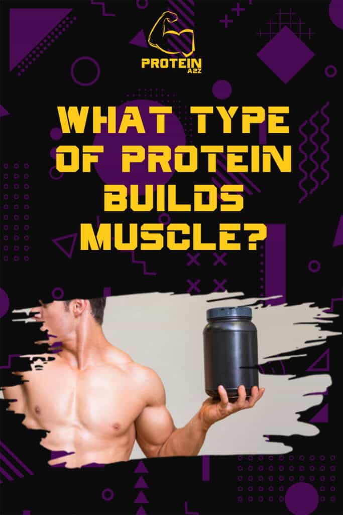 Welche Art von Protein baut Muskeln auf?