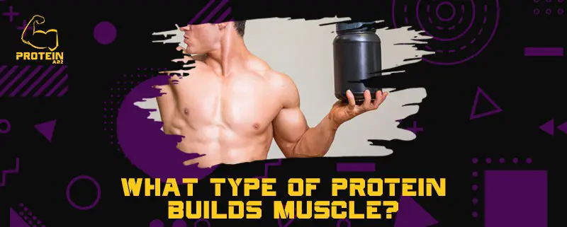 Welche Art von Protein baut Muskeln auf?