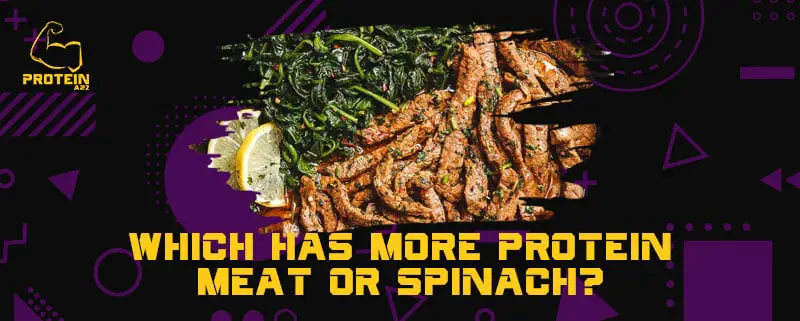 Which has more protein meat or spinach?