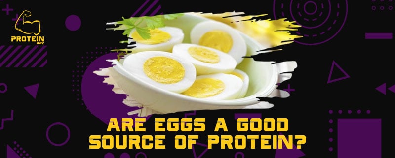Are eggs a good source of protein?