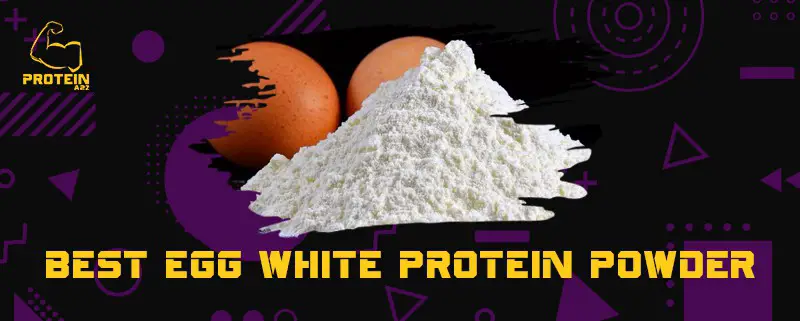 Best egg white protein