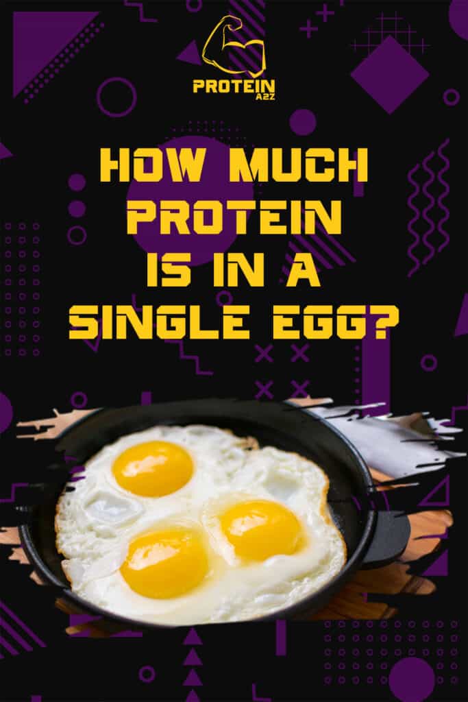 How much protein is in a single egg?