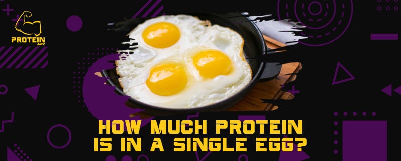 How much protein is in a single egg?