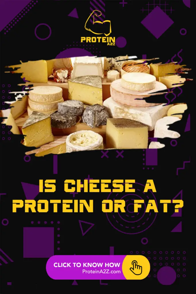 Is cheese a protein or fat?