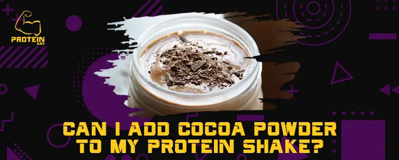 Kan jeg tilsætte kakaopulver til min proteinshake?