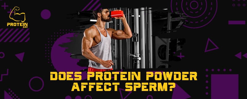 Does protein powder affect sperm?