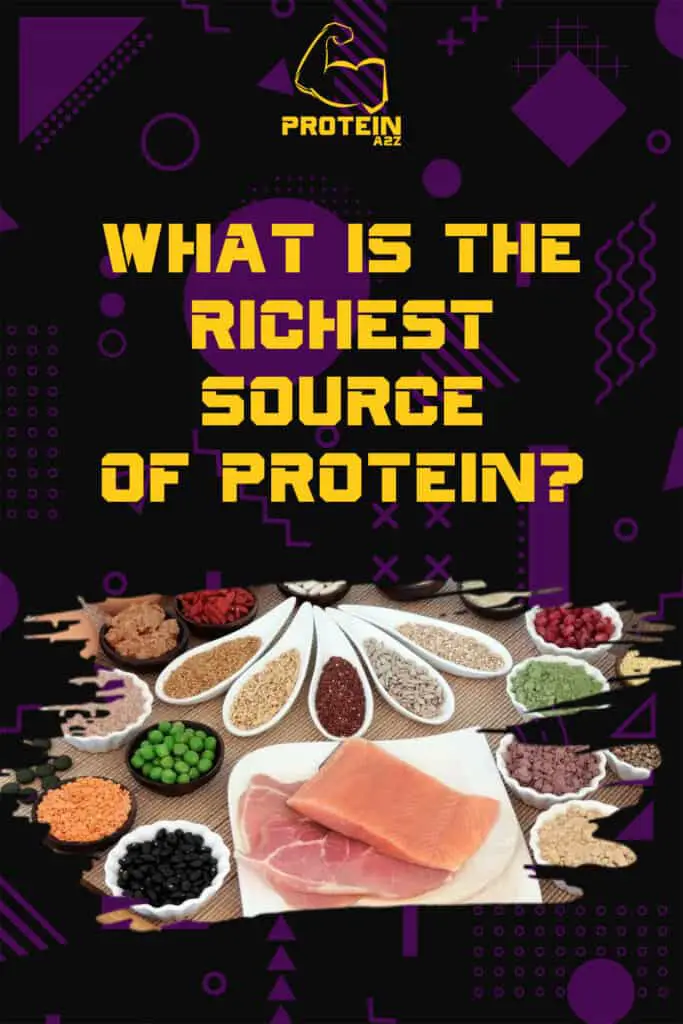 What is the richest source of protein?