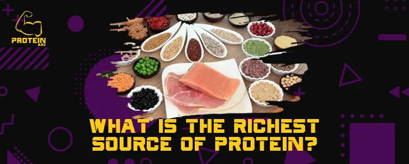 What is the richest source of protein?